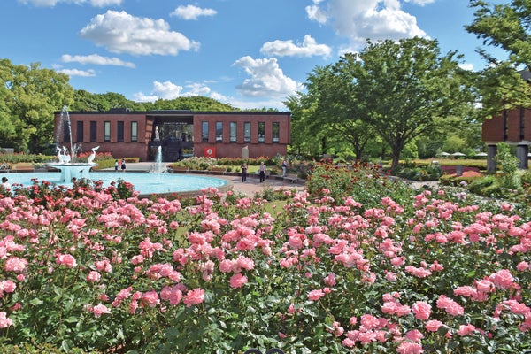 石橋文化センター癒しの春の花まつりとホテルオークラ福岡豪華ランチブッフェ・太宰府天満宮参拝🚌日帰りバスツアー2